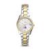 Women's Fossil Silver/Gold Abilene Christian University Wildcats Scarlette Mini Two-Tone Stainless Steel Watch