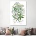 East Urban Home Flowering Plants I by Wild Apple Portfolio - Wrapped Canvas Graphic Art Metal in Green | 60 H x 40 W x 1.5 D in | Wayfair