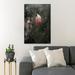 Red Barrel Studio® Close-Up Photo Of Pink Rose Flower - 1 Piece Rectangle Graphic Art Print On Wrapped Canvas in Gray/Pink | Wayfair