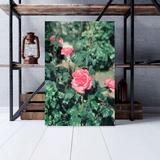 Red Barrel Studio® Pink Floribunda Roses - 1 Piece Rectangle Graphic Art Print On Wrapped Canvas in Green/Pink | 14 H x 11 W x 2 D in | Wayfair