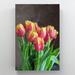 Red Barrel Studio® Pink & Yellow Tulips In Bloom 1 - 1 Piece Rectangle Graphic Art Print On Wrapped Canvas in Green/Pink/Yellow | Wayfair