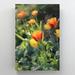 Red Barrel Studio® Yellow & Red Tulips In Bloom During Daytime 6 - 1 Piece Rectangle Graphic Art Print On Wrapped Canvas in Green/Red | Wayfair