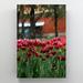 Red Barrel Studio® Red Tulips Field During Daytime 6 - 1 Piece Rectangle Graphic Art Print On Wrapped Canvas in Green/Red | Wayfair