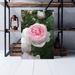 Red Barrel Studio® Pink Rose Flower 6 - 1 Piece Rectangle Graphic Art Print On Wrapped Canvas in Green/Pink/White | 20 H x 16 W x 2 D in | Wayfair