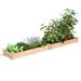 Greenes Fence Tingsley Cedar Raised Garden Wood in Brown | 5.5 H x 96 W x 16 D in | Wayfair RC16966P