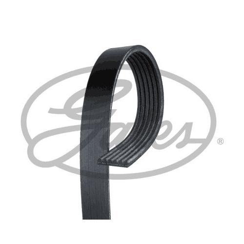 GATES Keilrippenriemen Micro-V® Stretch Fit® schwarz für FORD 1809956 1740958 1684909 6PK1030SF