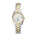 Women's Fossil Silver Hofstra University Pride Scarlette Mini Two-Tone Stainless Steel Watch