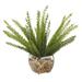 Primrue 12" Artificial Fern Plant in Decorative Vase Polyester/Glass | 12 H x 14 W x 14 D in | Wayfair 50E4D2D49522430DAC722A340DDE8265