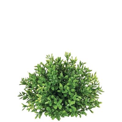Sullivans New England Boxwood Half Orb Decorative Filler 4.5