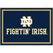 Imperial Notre Dame Fighting Irish 3'10" x 5'4" Wordmark Rug