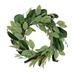 22" Eucalyptus and Magnolia Leaf Wreath by National Tree Company - 22 in