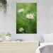 Rosalind Wheeler White Daisy Flower 8 - 1 Piece Rectangle Graphic Art Print On Wrapped Canvas in Green/White | 14 H x 11 W x 2 D in | Wayfair