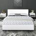 Abbey Platform Bed by Camden Isle in White (Size KING)