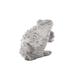Urban Trends Standing Eastern Rain Frog Figurine Cement in Gray | 5.5 H x 5.25 W x 5 D in | Wayfair 28213