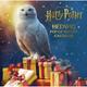 Reinhart Pop-Up Studio / Harry Potter: Hedwig Pop-Up Advent Calendar - Matthew Reinhart, Gebunden