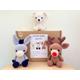 Crochet kit for cute amigurumi animal Christmas toys/bundle/DIY crochet kit/crafting kit/starter pack