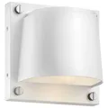 Hinkley Scout Outdoor Wall Sconce - 20020SW-LL