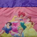 Disney Other | Disney Sleeping Bag | Color: Pink/Purple | Size: Osbb