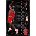 Michael Jordan Chicago Bulls 24.25'' x 35.75'' Framed Player Timeline Poster