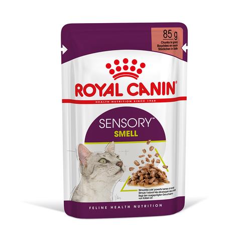 Royal Canin Sensory Smell in Soße - 12 x 85 g