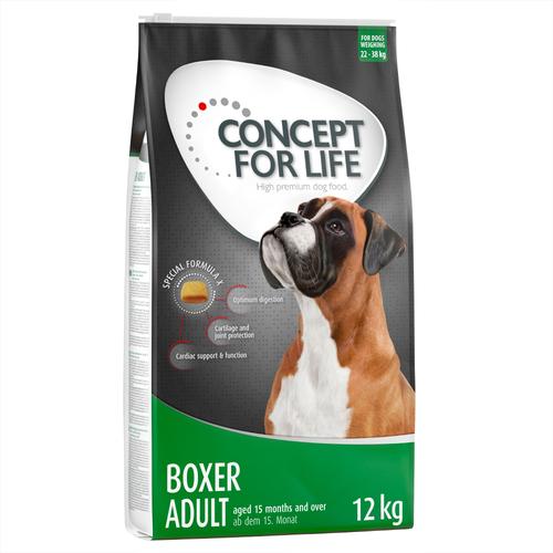 2x12kg Boxer Adult Concept for Life Hundefutter tocken