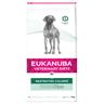 2x 12kg Eukanuba VETERINARY DIETS Restricted Calorie Hund