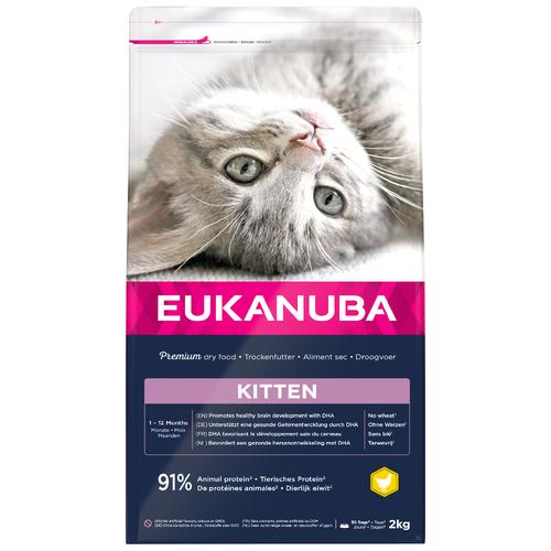 2kg Eukanuba Healthy Start Kitten Katzenfutter trocken