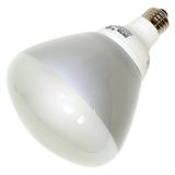 Westinghouse 37914 - 20CFLR40/DIM/27 Dimmable Compact Fluorescent Light Bulb