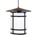 Arroyo Craftsman Berkeley 41 Inch Tall 1 Light Outdoor Hanging Lantern - BSH-17L-WO-BZ