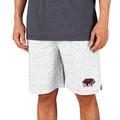 Men's Saint Joseph's Hawks Concepts Sport White/Charcoal Throttle Knit Jam Shorts