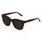 Polo by Ralph Lauren PH 4160 Damen-Sonnenbrille Vollrand Butterfly Kunststoff-Gestell, braun