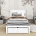 Red Barrel Studio® Wooden Platform Bed w/ Storage Drawer & Headboard Wood in White | 36 H x 42 W x 76 D in | Wayfair