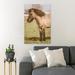 Gracie Oaks A Horse w/ Frizzy Hair - 1 Piece Rectangle Graphic Art Print On Wrapped Canvas in White | 36 H x 24 W x 2 D in | Wayfair