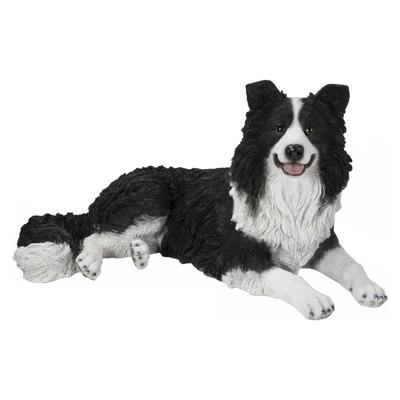 Lying Border Collie