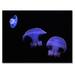 East Urban Home Purple Jellyfish on Black - Print on Canvas Metal in Black/Blue | 16 H x 32 W x 1 D in | Wayfair 7B1C293652394E21B09000088B494FDC