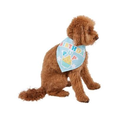Frisco Birthday Pup Dog & Cat Bandana, X-Small/Small