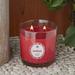 Root Candles Seduce Patchouli & Anise Scented Jar Candle Beeswax in Red | 4 H x 3.9375 W x 3.9375 D in | Wayfair 9947282