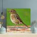 Latitude Run® Brown & White Bird On Brown en Table - 1 Piece Rectangle Graphic Art Print On Wrapped Canvas in Brown/Green | Wayfair