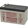 Hawker Longlife DataSafe hx 12HX35FR Batterie au plomb 12 v 7.6 Ah plomb (agm) (l x h x p) 151 x