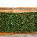 Costway 9.8 Ft. H x 4.9 Ft. W Polyethyiene Privacy Screen Artificial Hedge in Green | 39.6 H x 93.6 W x 2.2 D in | Wayfair GT3050