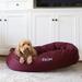 Majestic Pet Products Majestic Pet Personalized Bagel Donut Bolster Dog Bed Metal | 11 H x 52 W x 35 D in | Wayfair 720570929098-Baskerville-Yellow