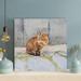 Red Barrel Studio® Orange Tabby Cat On Gray Concrete Wall - 1 Piece Square Graphic Art Print On Wrapped Canvas Metal in Brown/White | Wayfair