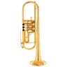 Krinner Symphonic I Trumpet Gold