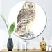 Loon Peak® Portrait of a Barn Owl V - Unframed Painting on Metal in Brown/Gray | 23 H x 23 W x 1 D in | Wayfair 1D62B5D4459D41B3BD69F42945BDE285