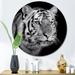 Latitude Run® Monochrome Portrait of a White Tiger V - Unframed Photograph on Metal in Black/White | 23 H x 23 W x 1 D in | Wayfair