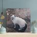 Red Barrel Studio® White & Gray Cat On Brown Soil - 1 Piece Square Graphic Art Print On Wrapped Canvas in Black/White | 12 H x 12 W x 2 D in | Wayfair