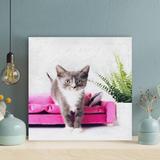 Red Barrel Studio® Tuxedo Kitten Beside Fern Plant - 1 Piece Square Graphic Art Print On Wrapped Canvas in Pink/White | 16 H x 16 W x 2 D in | Wayfair