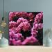 Latitude Run® Shallow Focus Photo Of Flowers - 1 Piece Rectangle Graphic Art Print On Wrapped Canvas in Pink | 16 H x 16 W x 2 D in | Wayfair