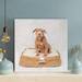 Latitude Run® Brown Short Coated Dog On Brown Basket - 1 Piece Rectangle Graphic Art Print On Wrapped Canvas in Brown/White | Wayfair