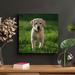 Latitude Run® Yellow Labrador Retriever Puppy - 1 Piece Rectangle Graphic Art Print On Wrapped Canvas Canvas | 12 H x 12 W x 2 D in | Wayfair